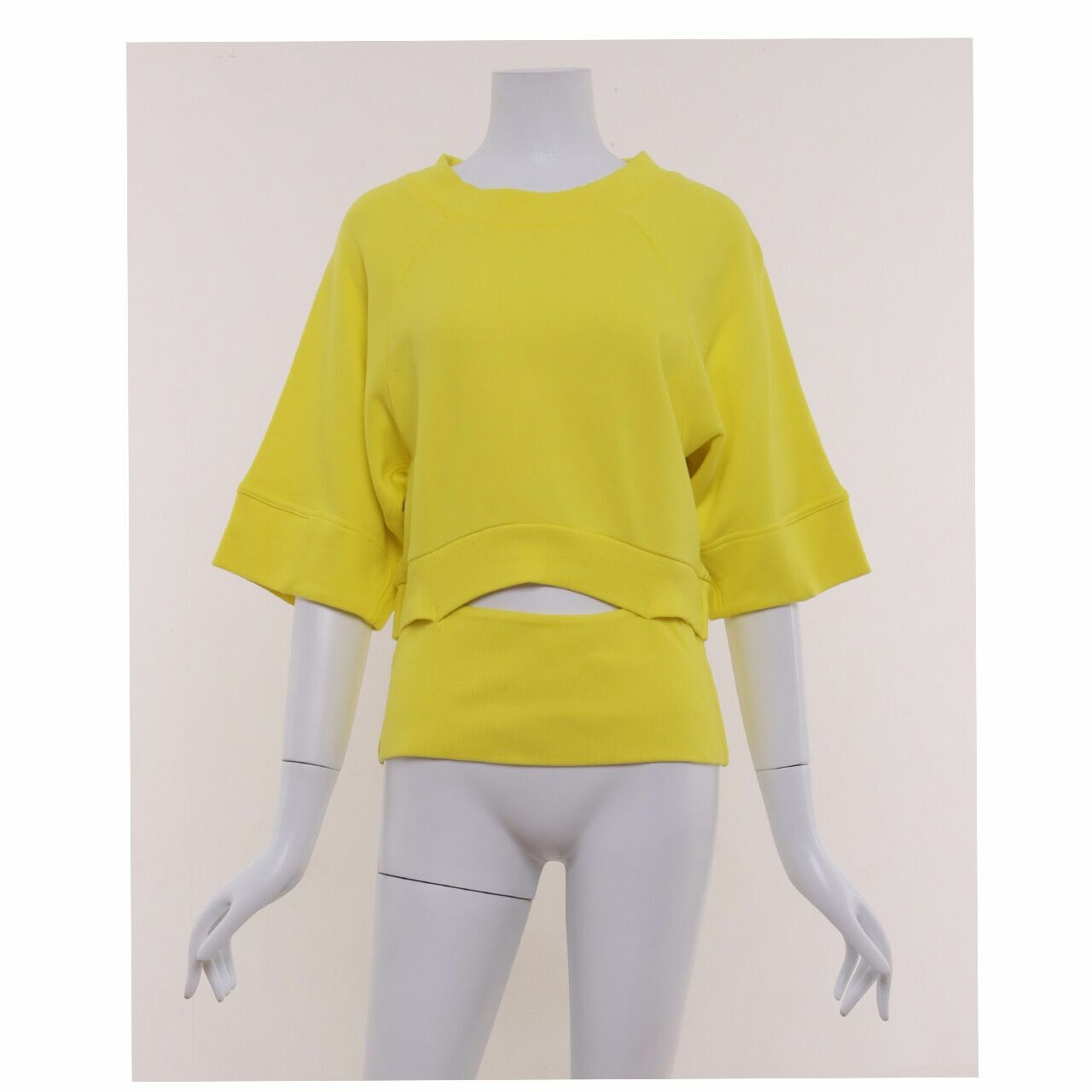 Adidas Stella McCartney Yellow Croppedsweat Shirt