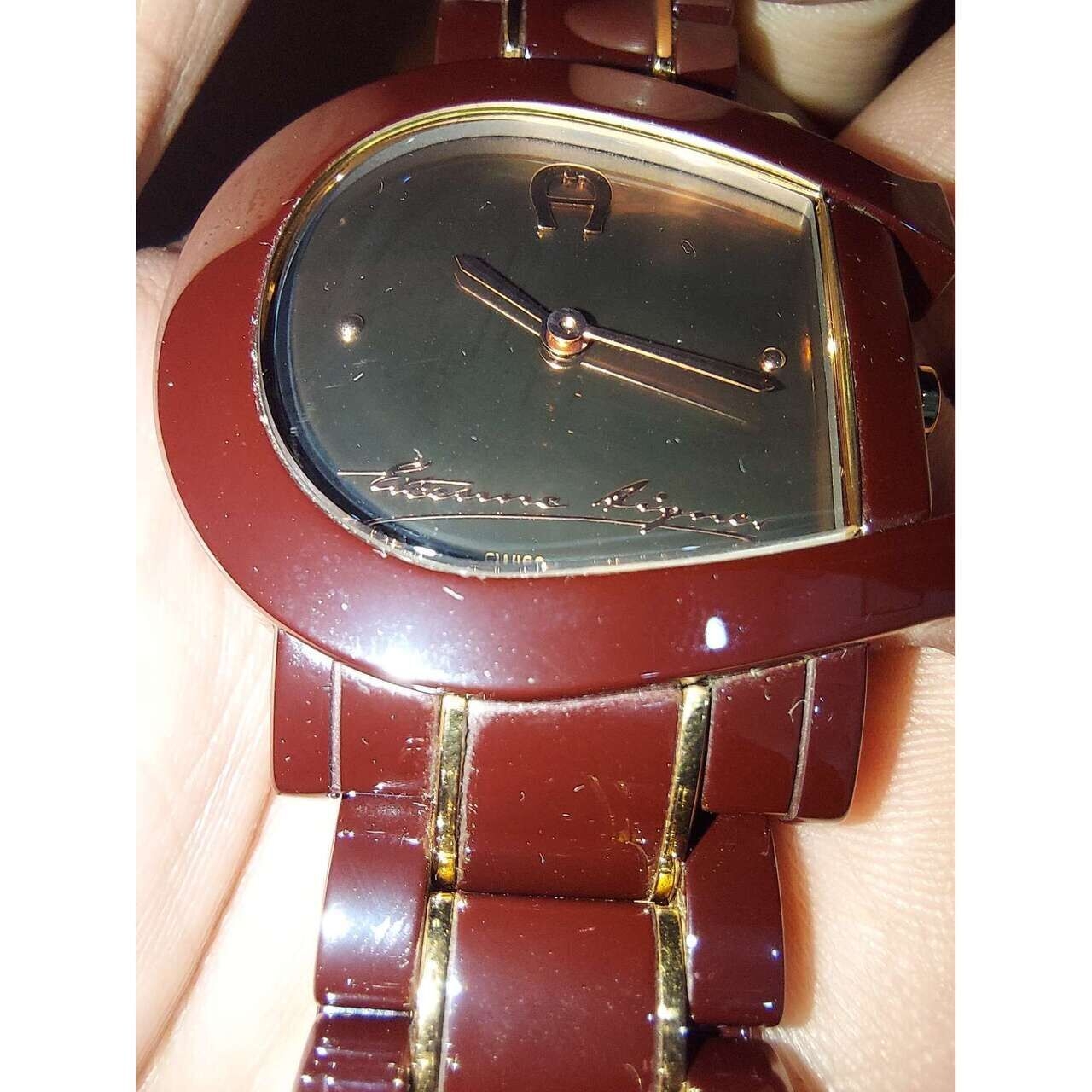 Aigner Genua Due Brown Watch