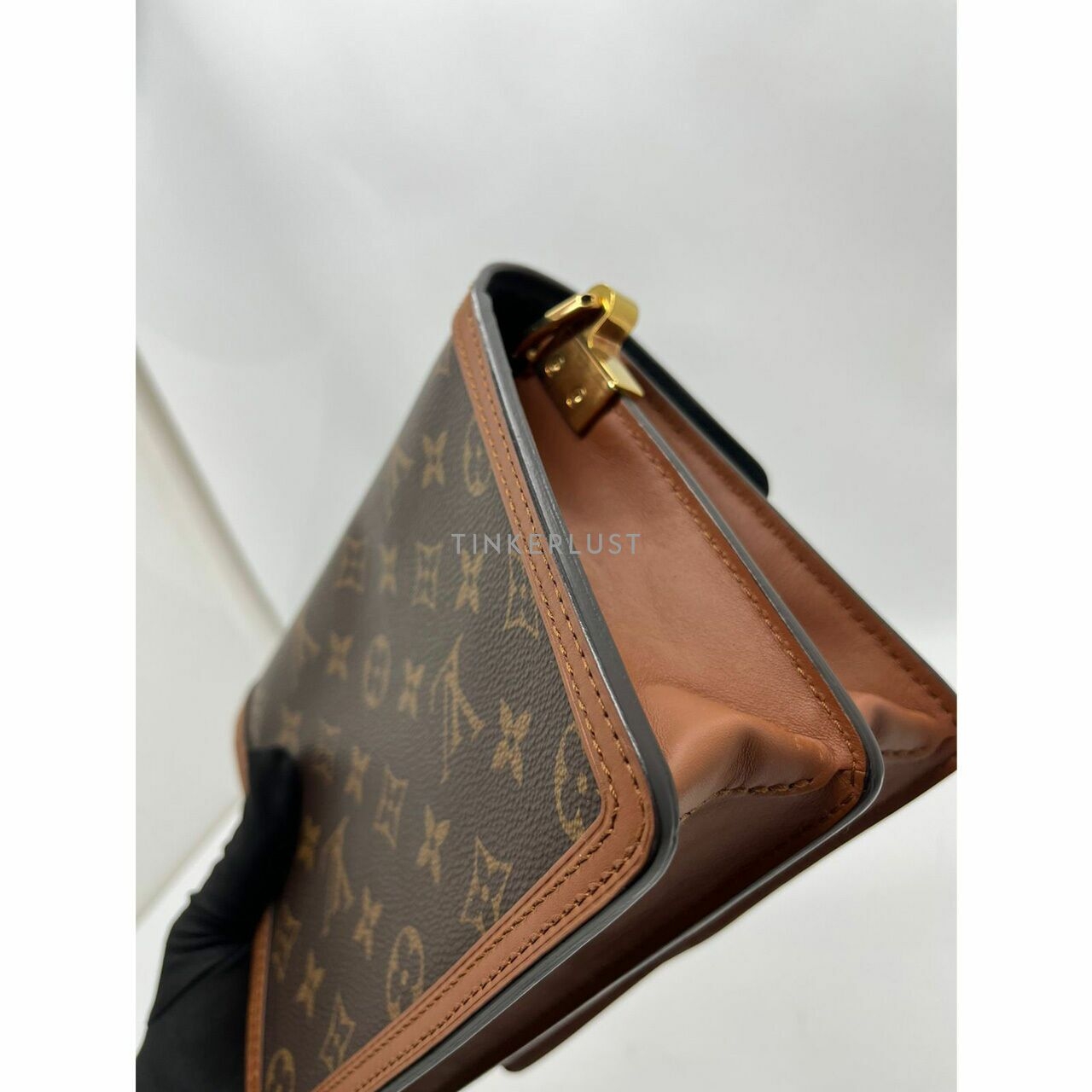 Louis Vuitton Mini Mono Reverse Dauphine 2020 Shoulder Bag