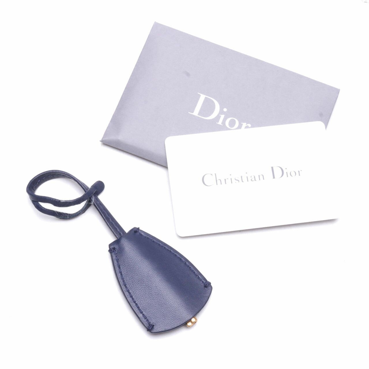 Christian Dior Dioraddict Flap Bag Cannage Quilt Chain Shoulder Bag