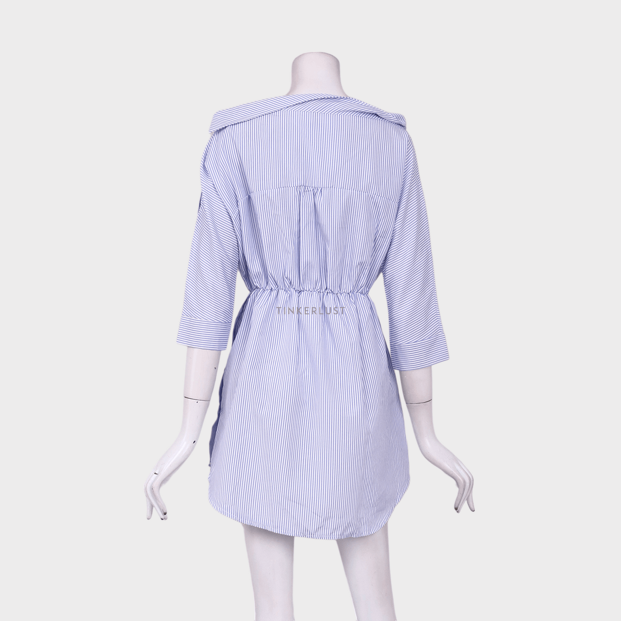 Private Collection Blue & White Stripes Tunic Blouse