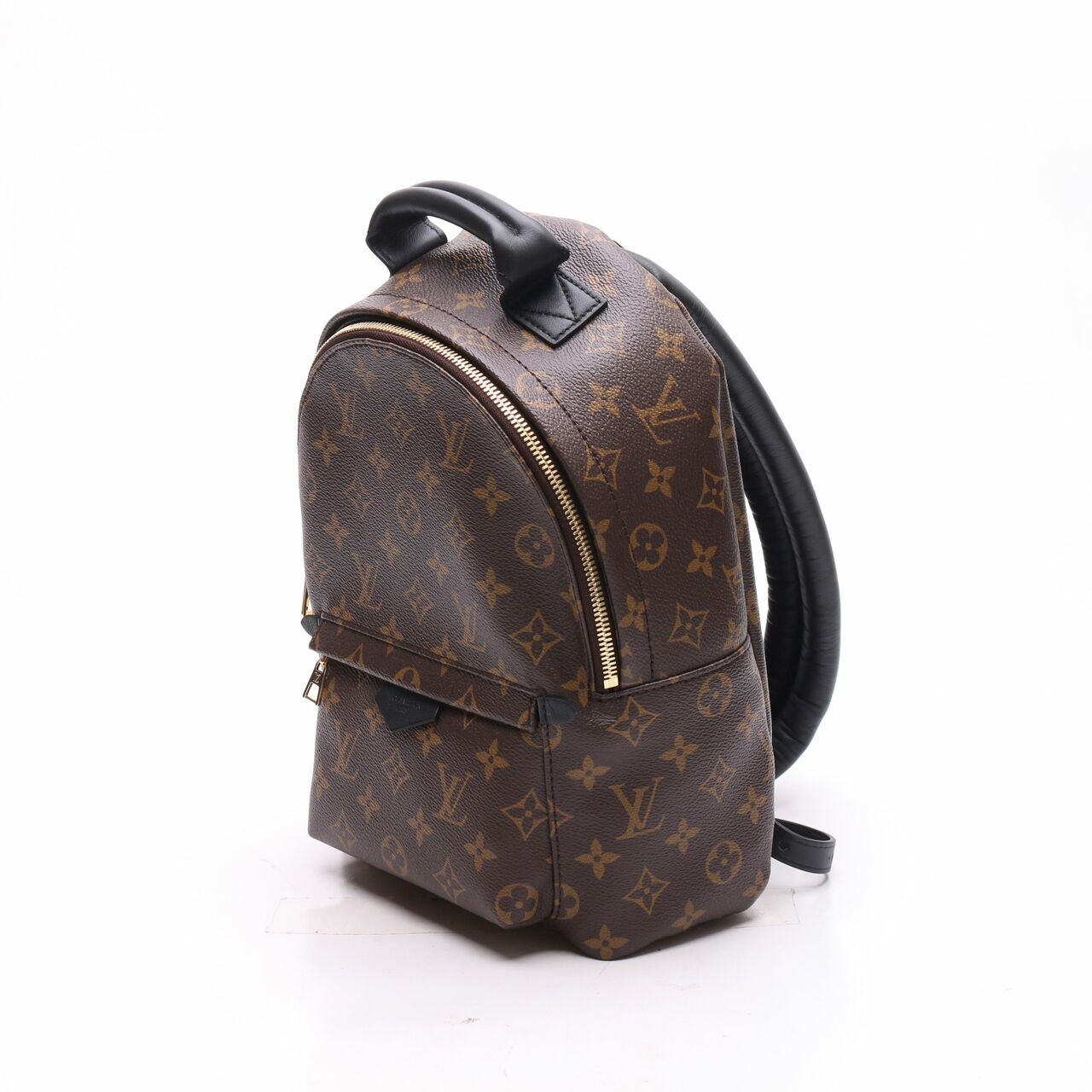 Louis Vuitton Palm Springs Monogram Brown Backpack