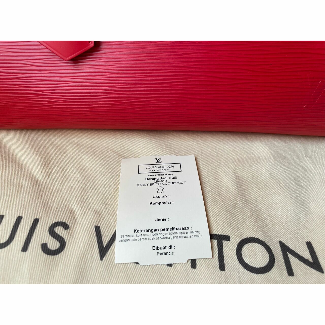 Louis Vuitton Red Handbag