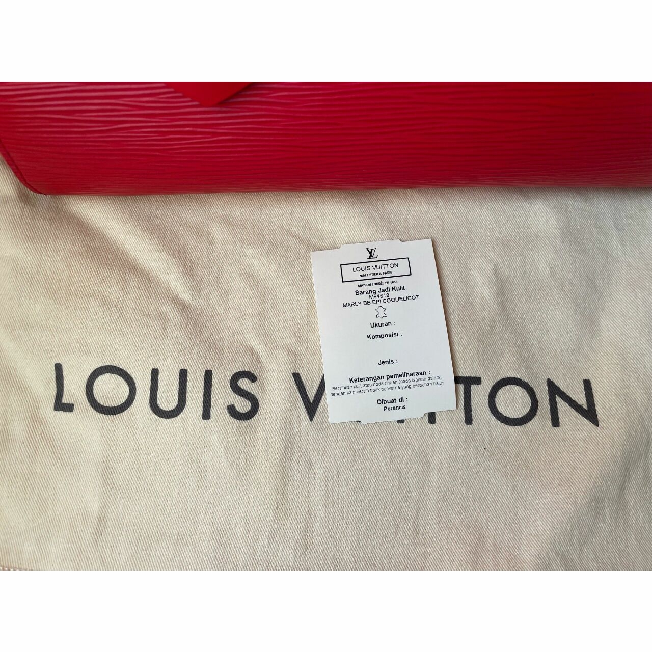 Louis Vuitton Red Handbag