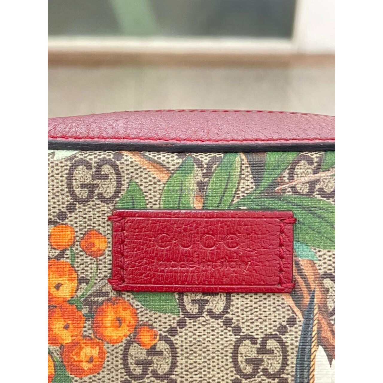 Gucci Tian Multicolor Camera Sling Bag