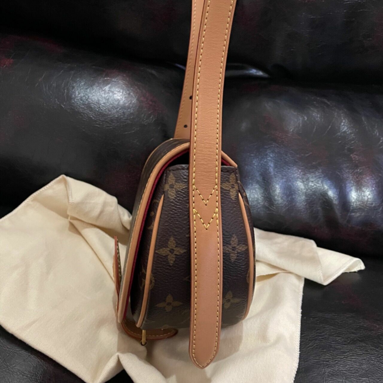 Louis Vuitton Tambourin Monogram Bag