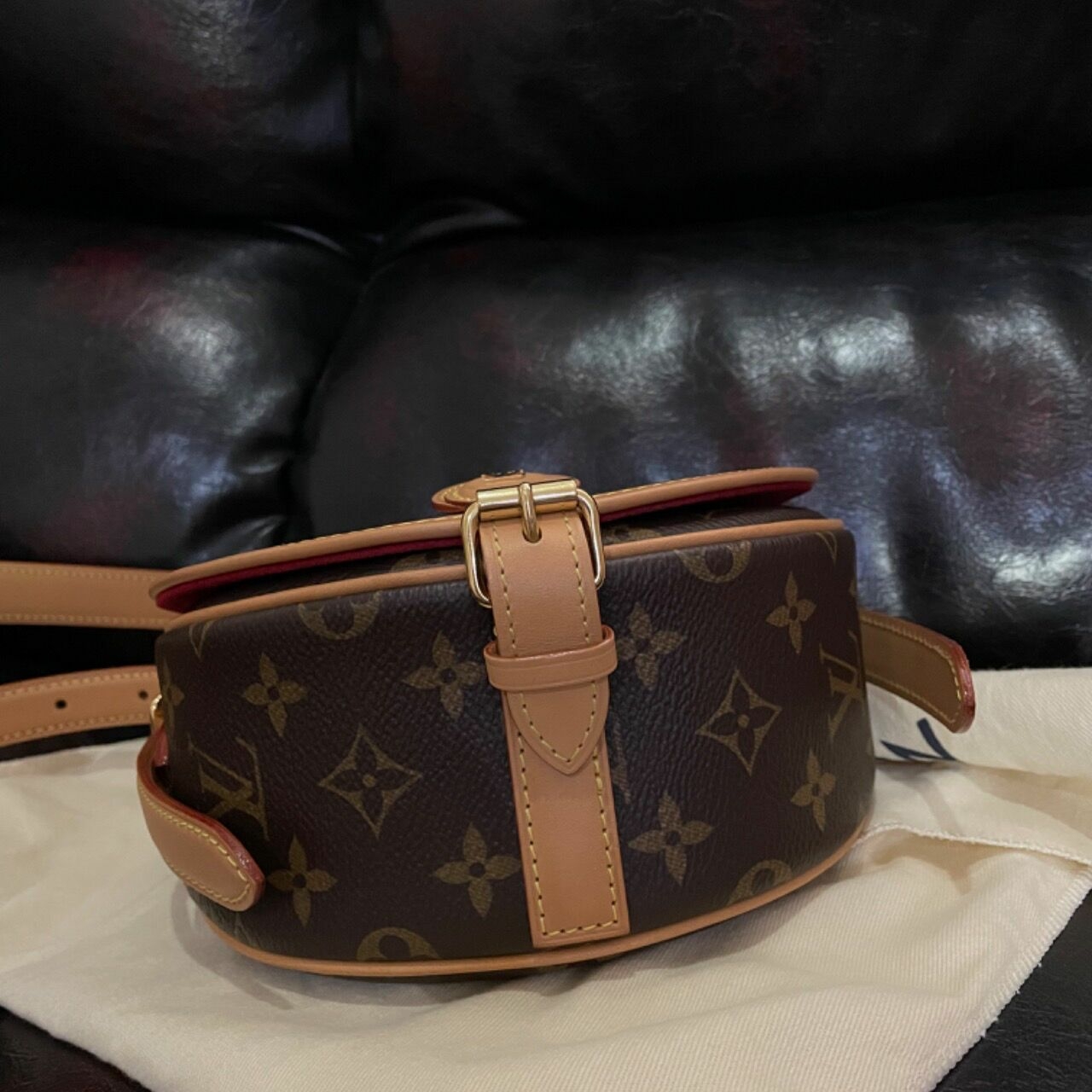 Louis Vuitton Tambourin Monogram Bag