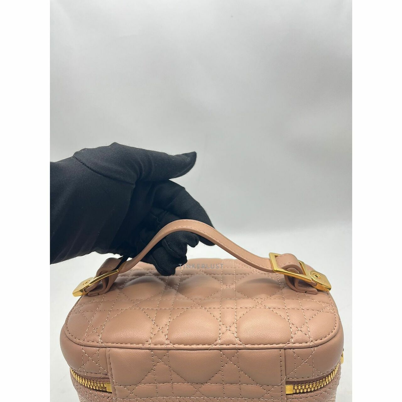 Christian Dior Vanity Blush 2020 GHW Satchel