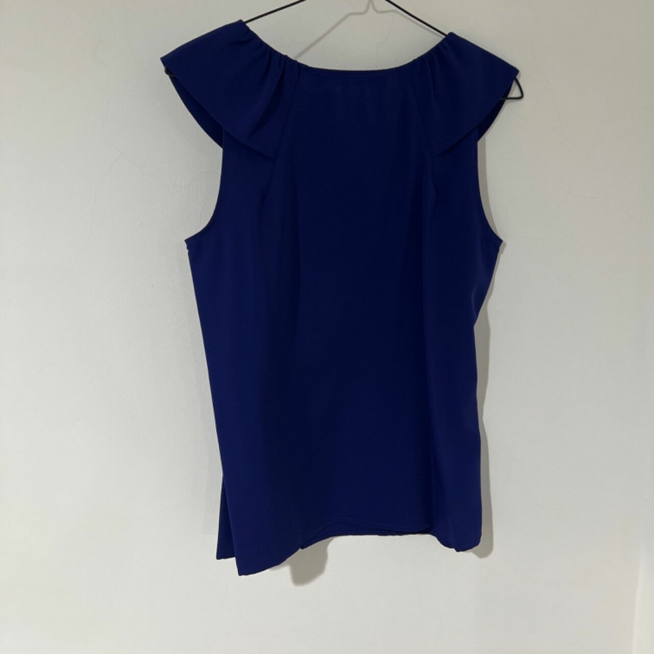 Zara Blue Sleeveless