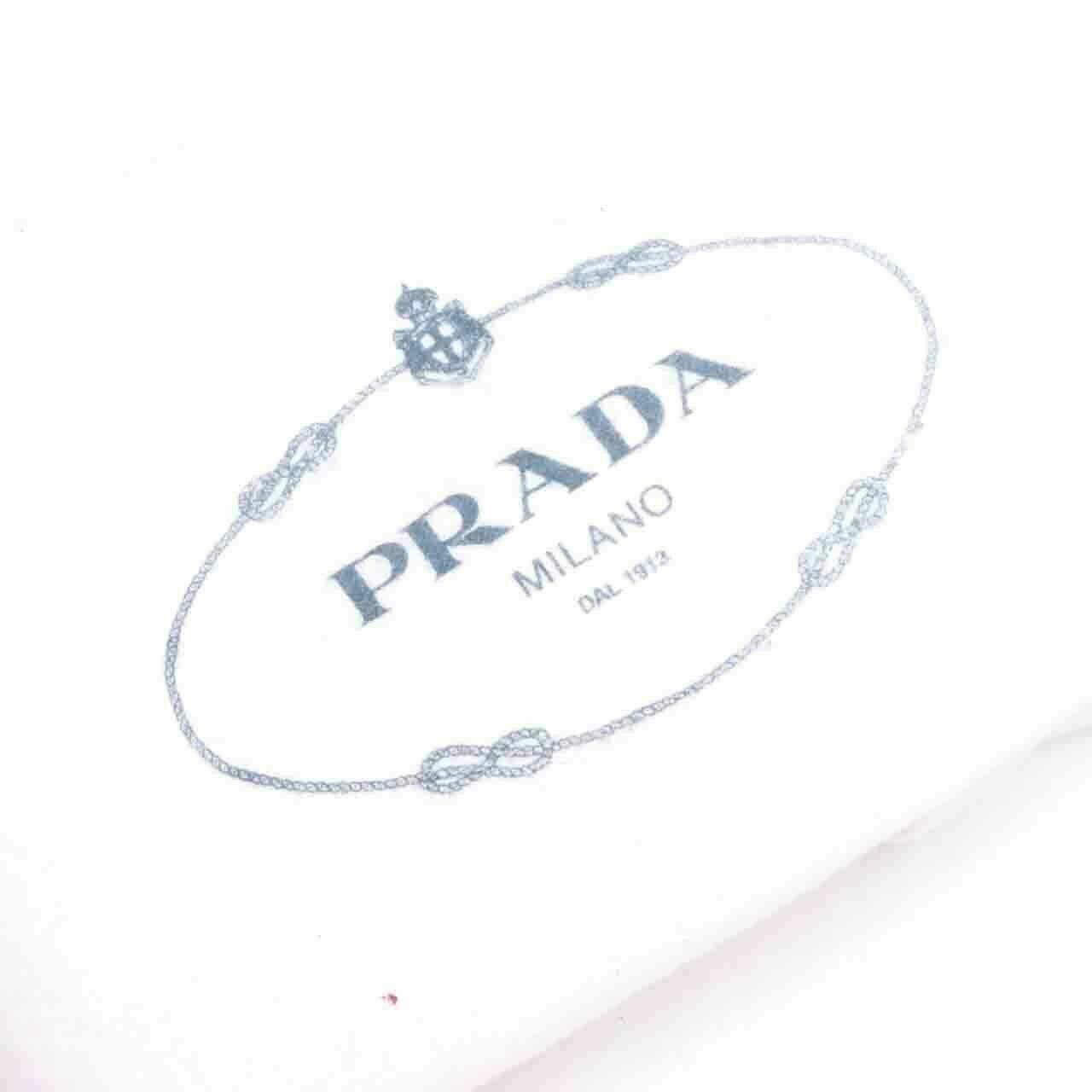 Prada BL0808 Safiano Lux Frame Top Handle Argilla Handbag