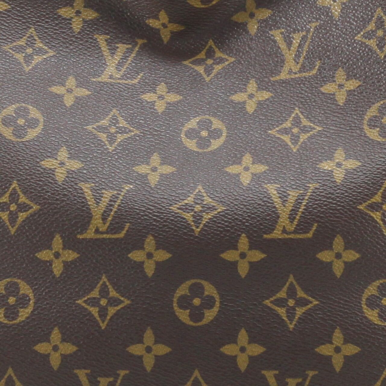 Louis Vuitton Brown HandBag