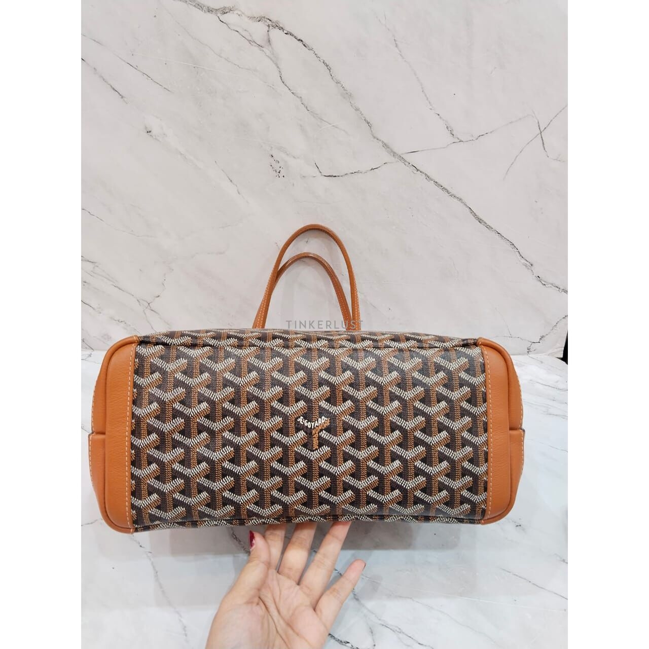 Goyard Artois PM Black & Tan 2022 Tote Bag