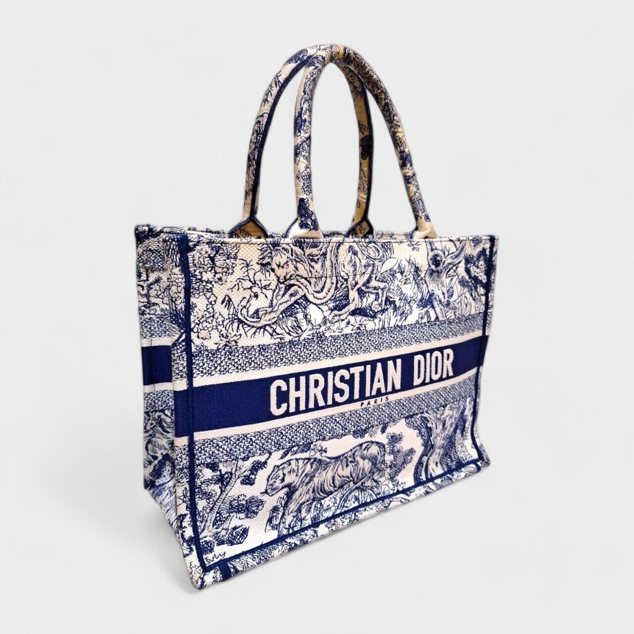 Christian Dior Canvas Medium Tote Book 2021 Tote Bag