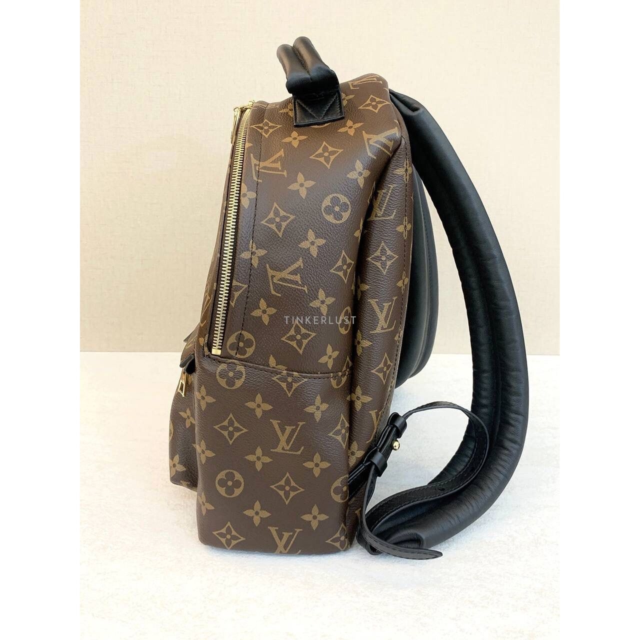 Louis Vuitton Palmsprings MM Monogram Backpack 