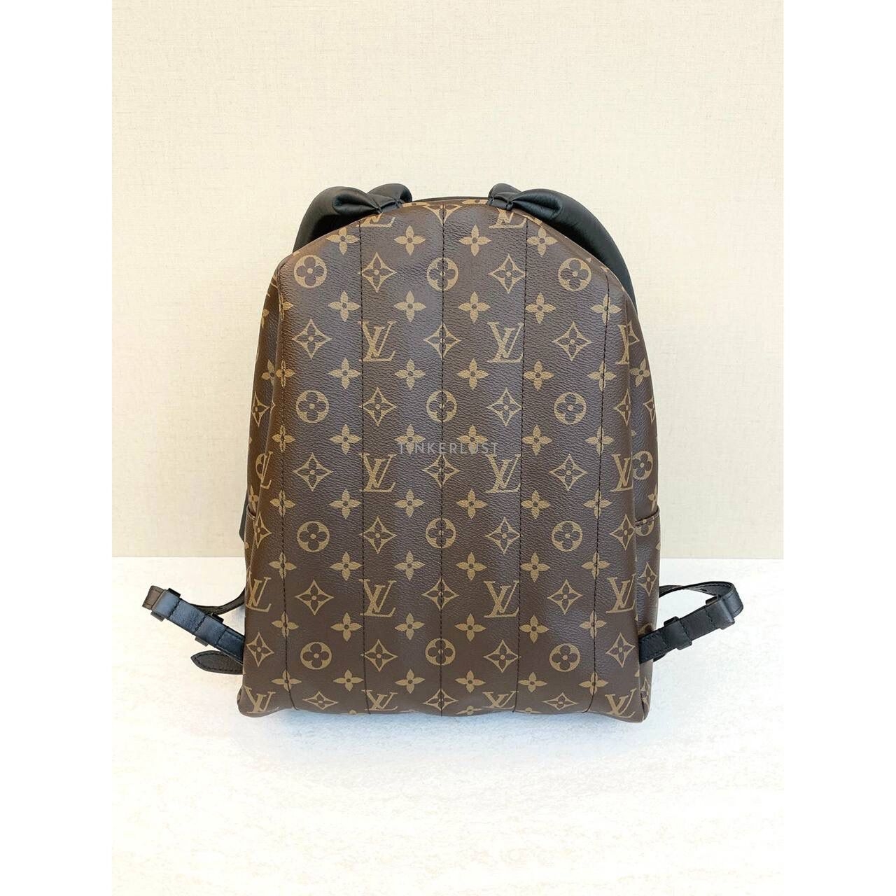 Louis Vuitton Palmsprings MM Monogram Backpack 