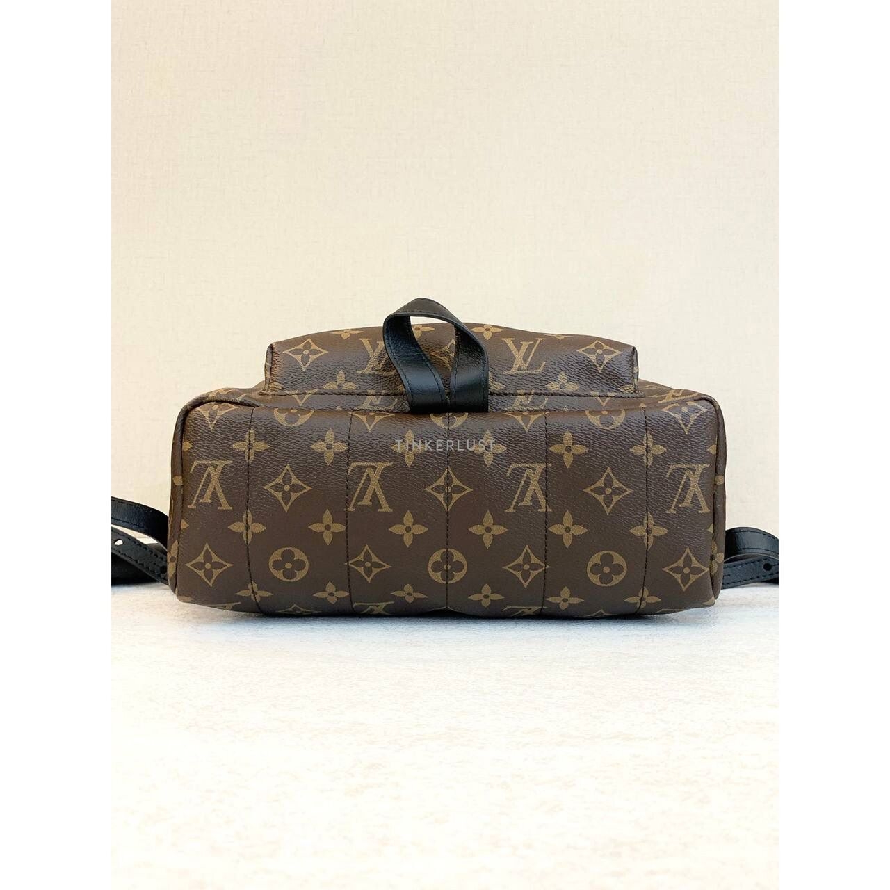 Louis Vuitton Palmsprings MM Monogram Backpack 