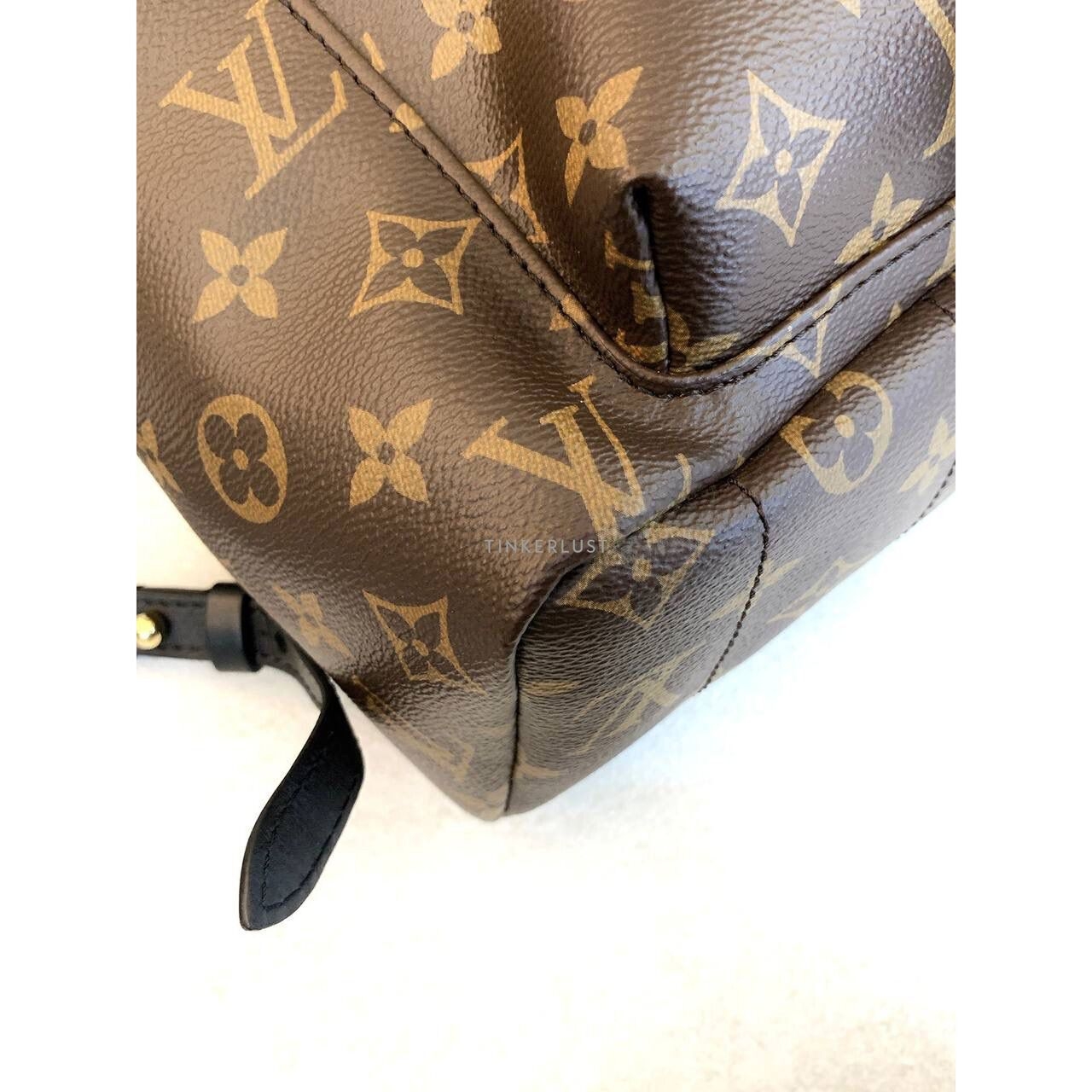 Louis Vuitton Palmsprings MM Monogram Backpack 