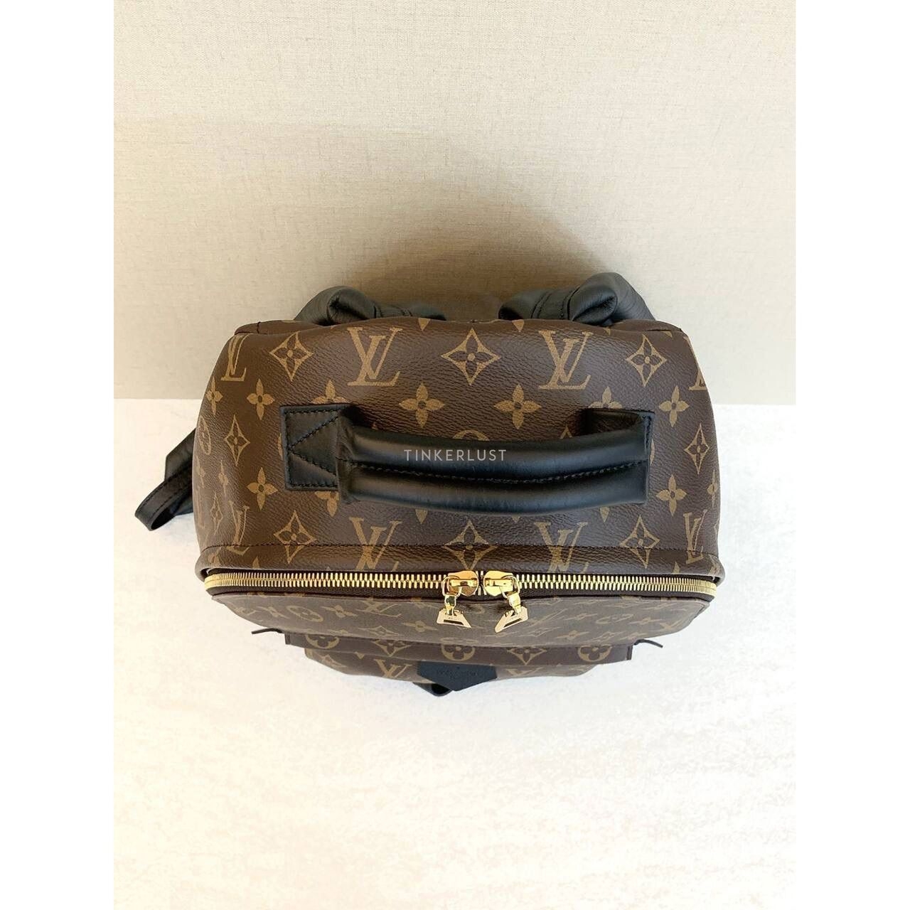 Louis Vuitton Palmsprings MM Monogram Backpack 