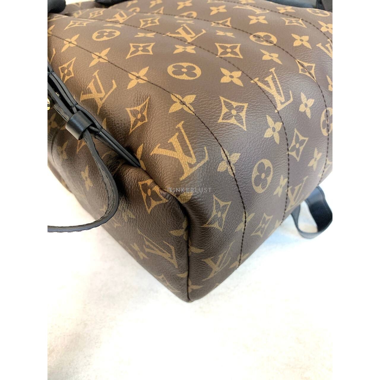 Louis Vuitton Palmsprings MM Monogram Backpack 