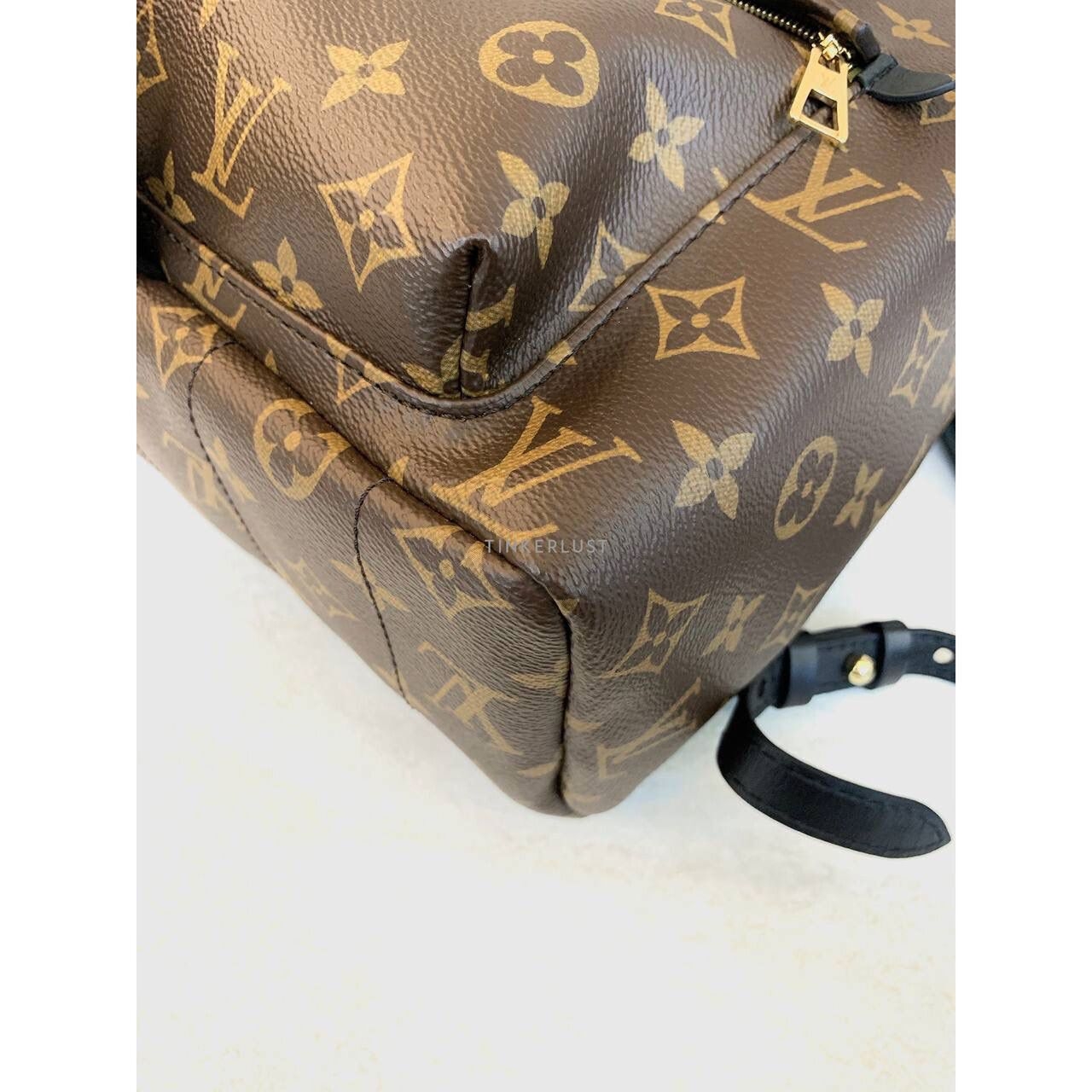 Louis Vuitton Palmsprings MM Monogram Backpack 