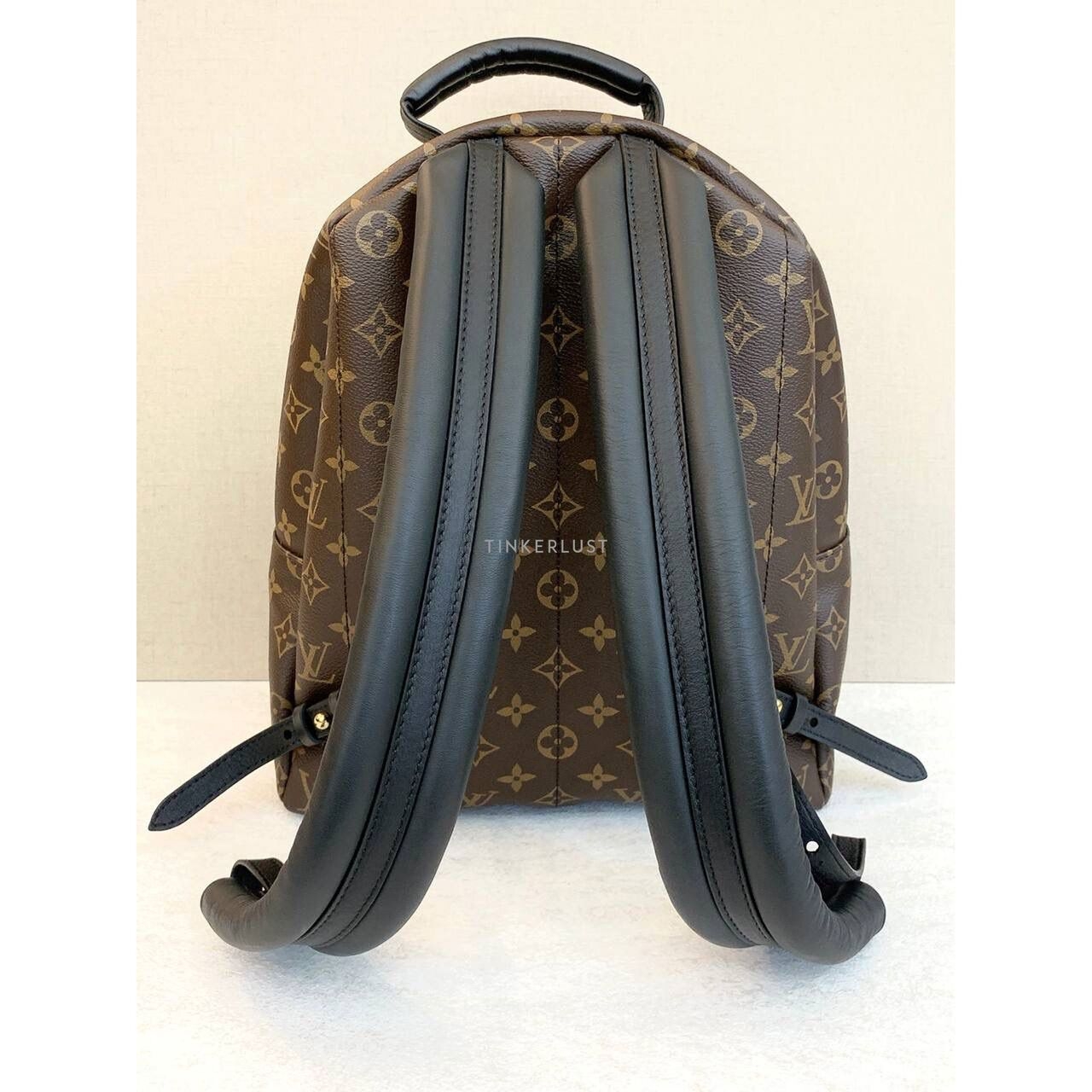 Louis Vuitton Palmsprings MM Monogram Backpack 