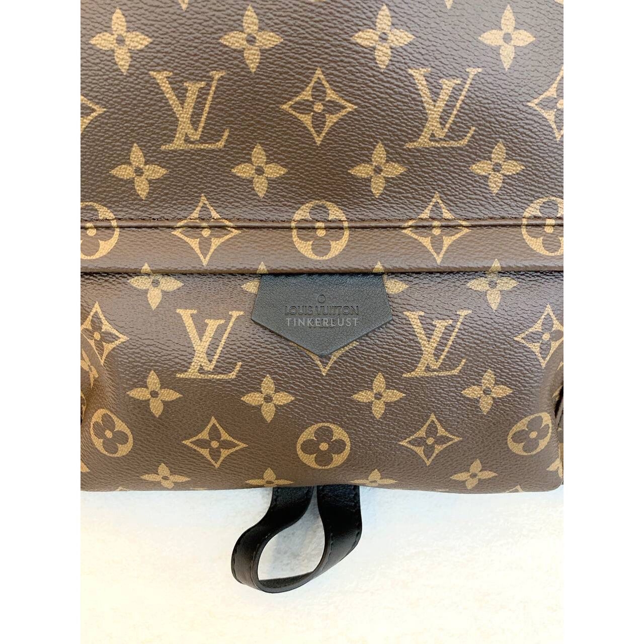 Louis Vuitton Palmsprings MM Monogram Backpack 