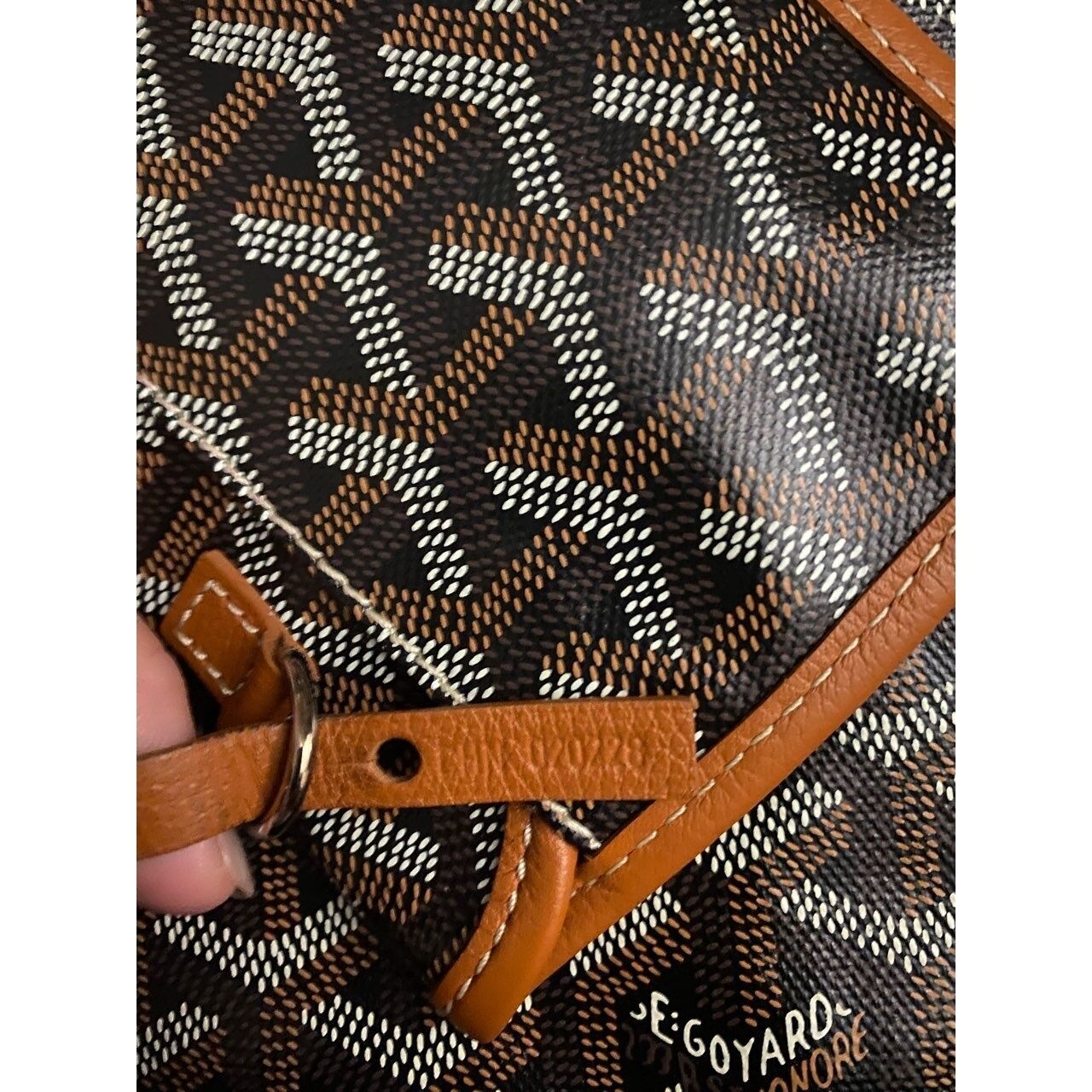 Goyard Multicolour Tote Bag