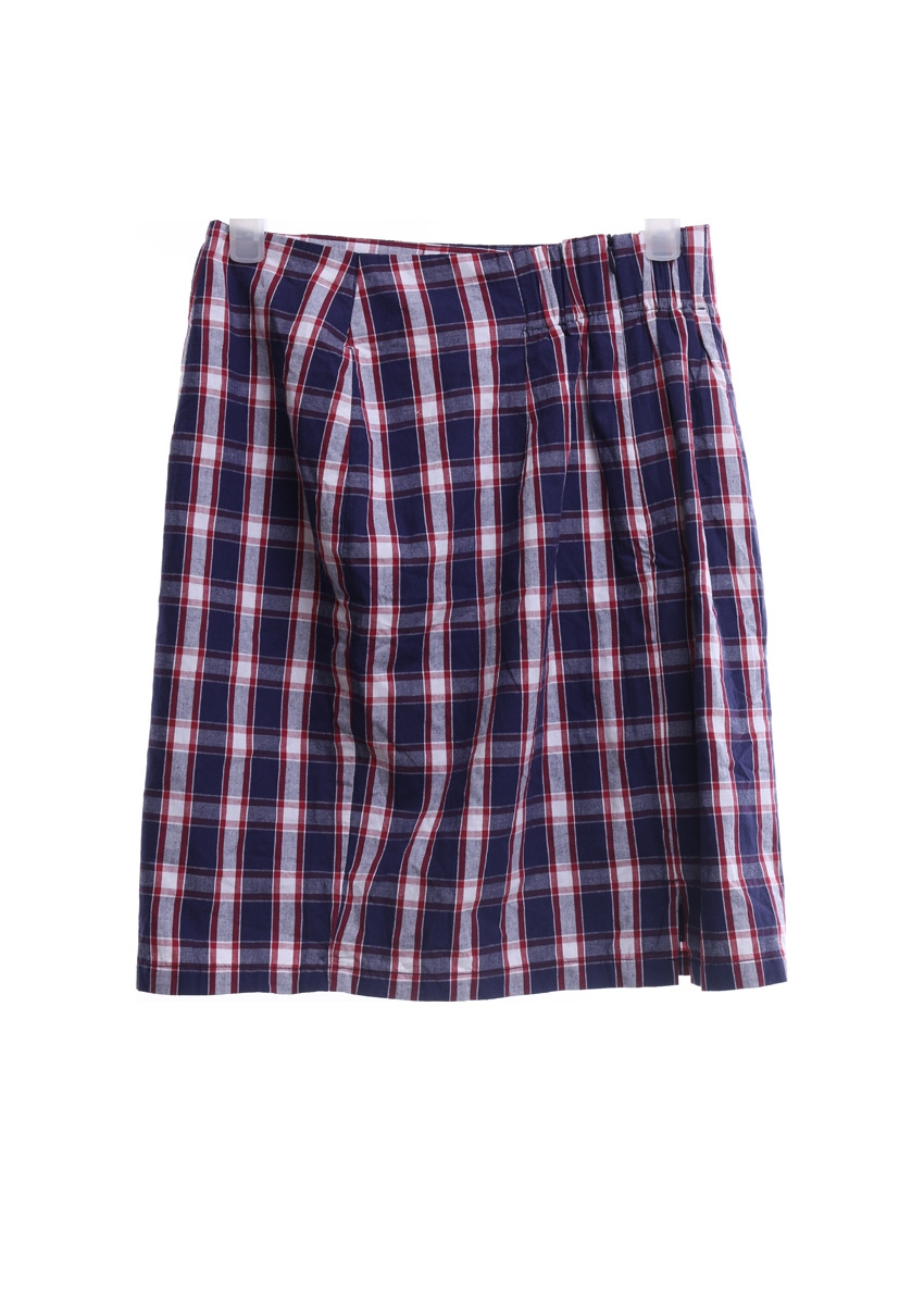 Cotton Ink Plaid 3 Tone Mini Skirt