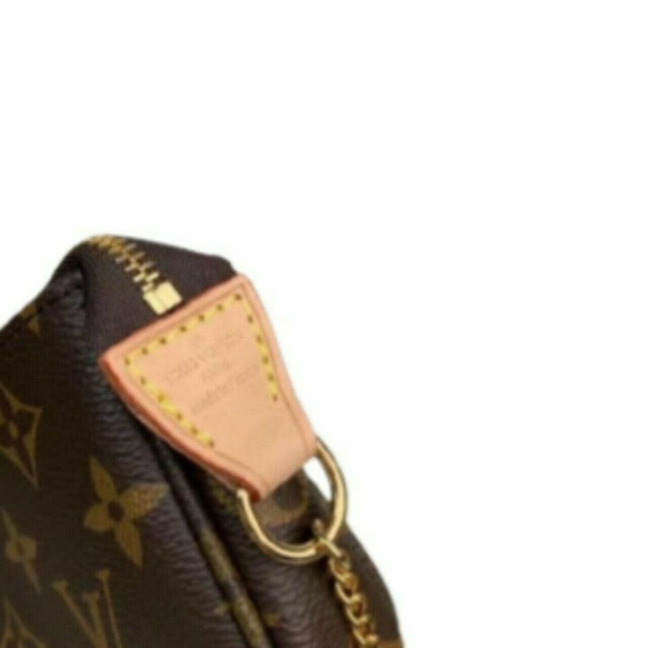 Louis Vuitton Mini Pochette Pouch