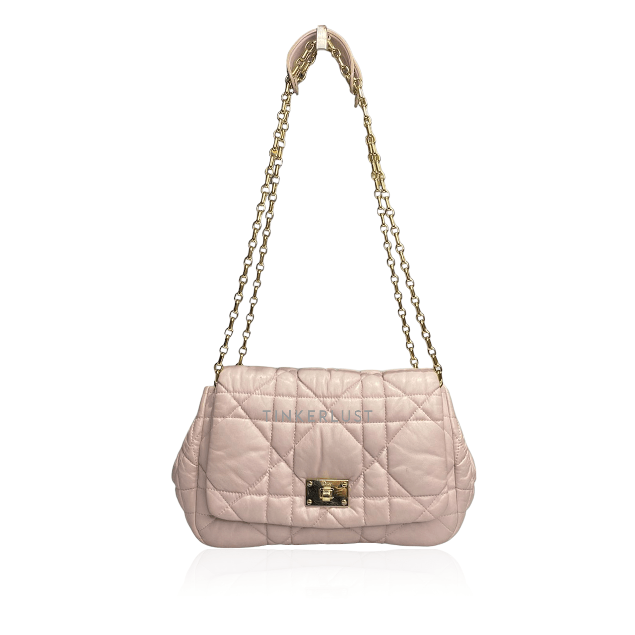 Christian Dior Milly La Forest in Light Pink GHW Shoulder Bag