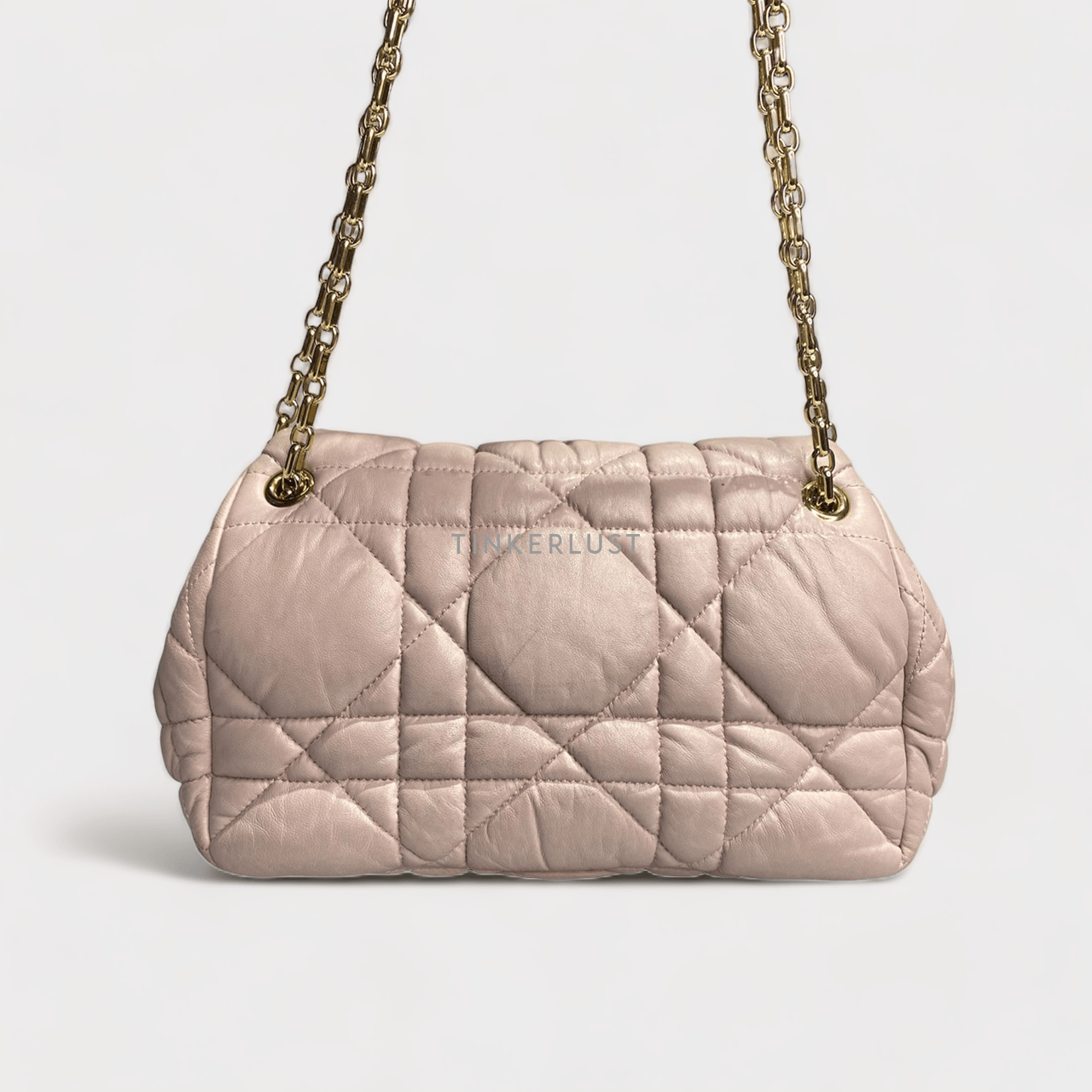 Christian Dior Milly La Forest in Light Pink GHW Shoulder Bag