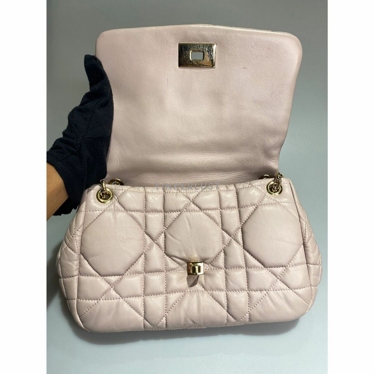 Christian Dior Milly La Forest in Light Pink GHW Shoulder Bag