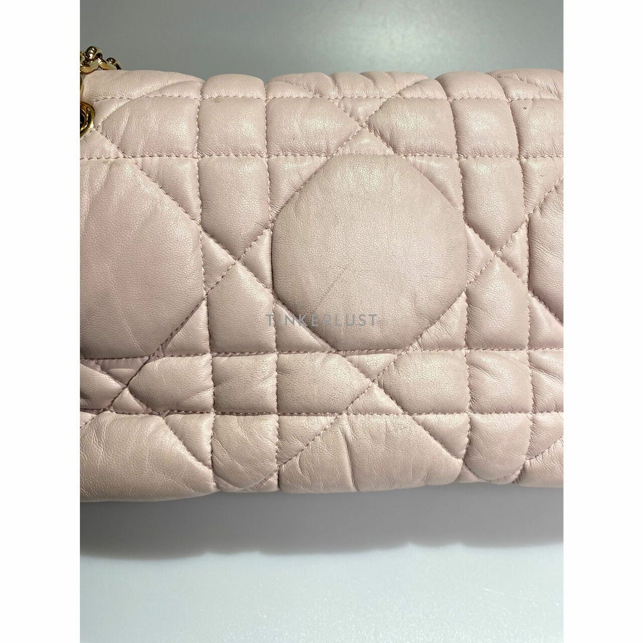 Christian Dior Milly La Forest in Light Pink GHW Shoulder Bag