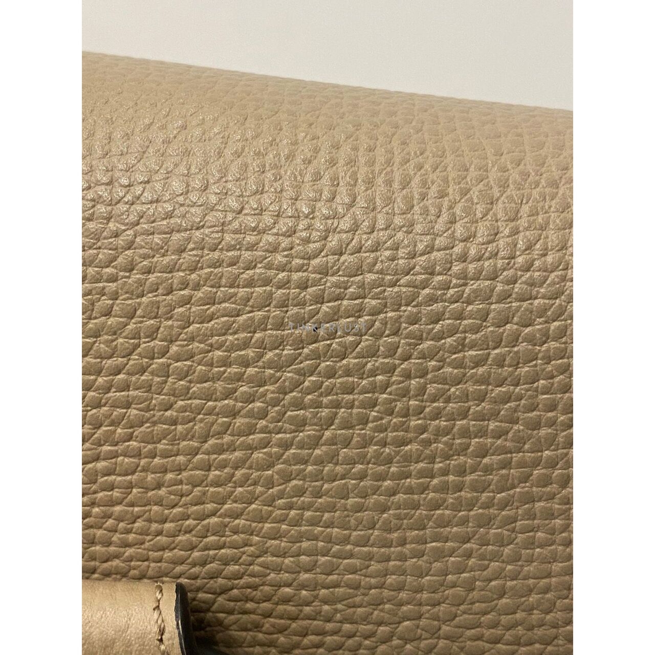 Loewe Gate Mini Sand Grained 2021 Sling Bag