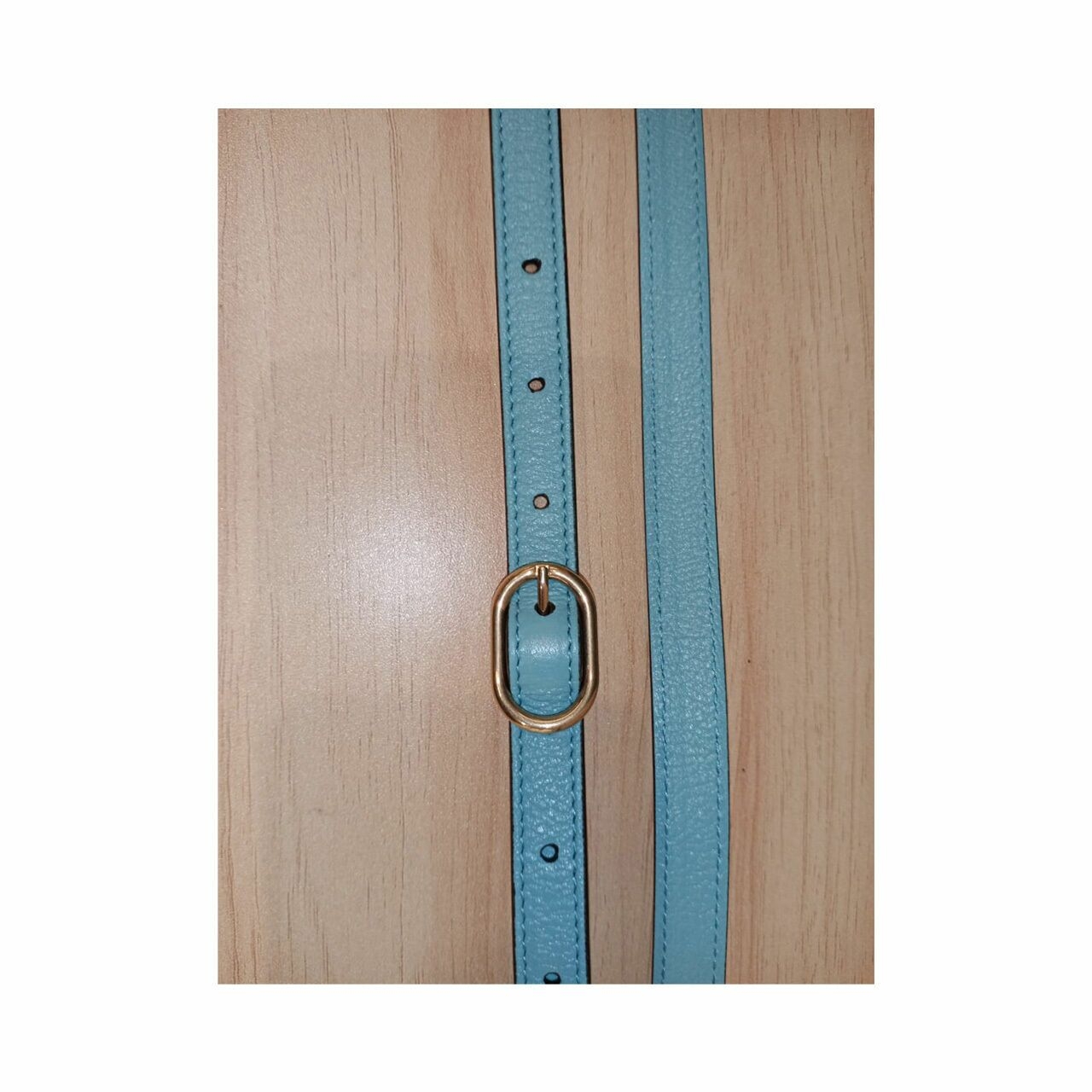 Gucci Diana Mini Tote Bag in Light Blue with Bamboo Handle Satchel