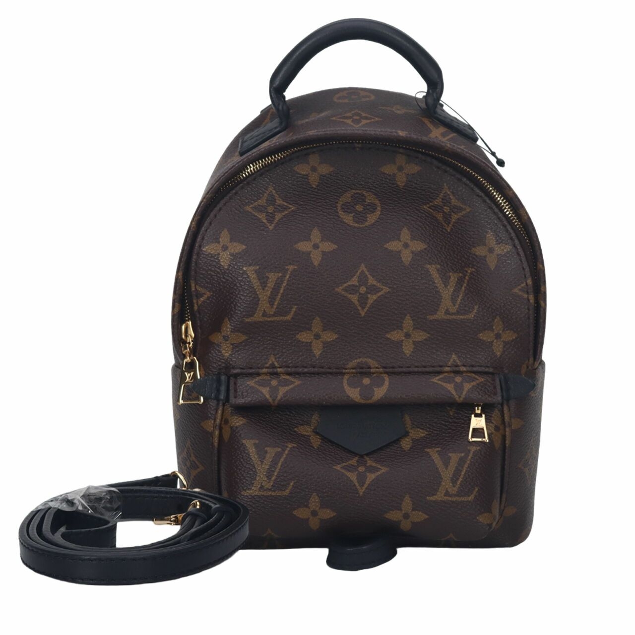 Louis Vuitton Palm Springs Monogram Mini Backpack GHW Brown