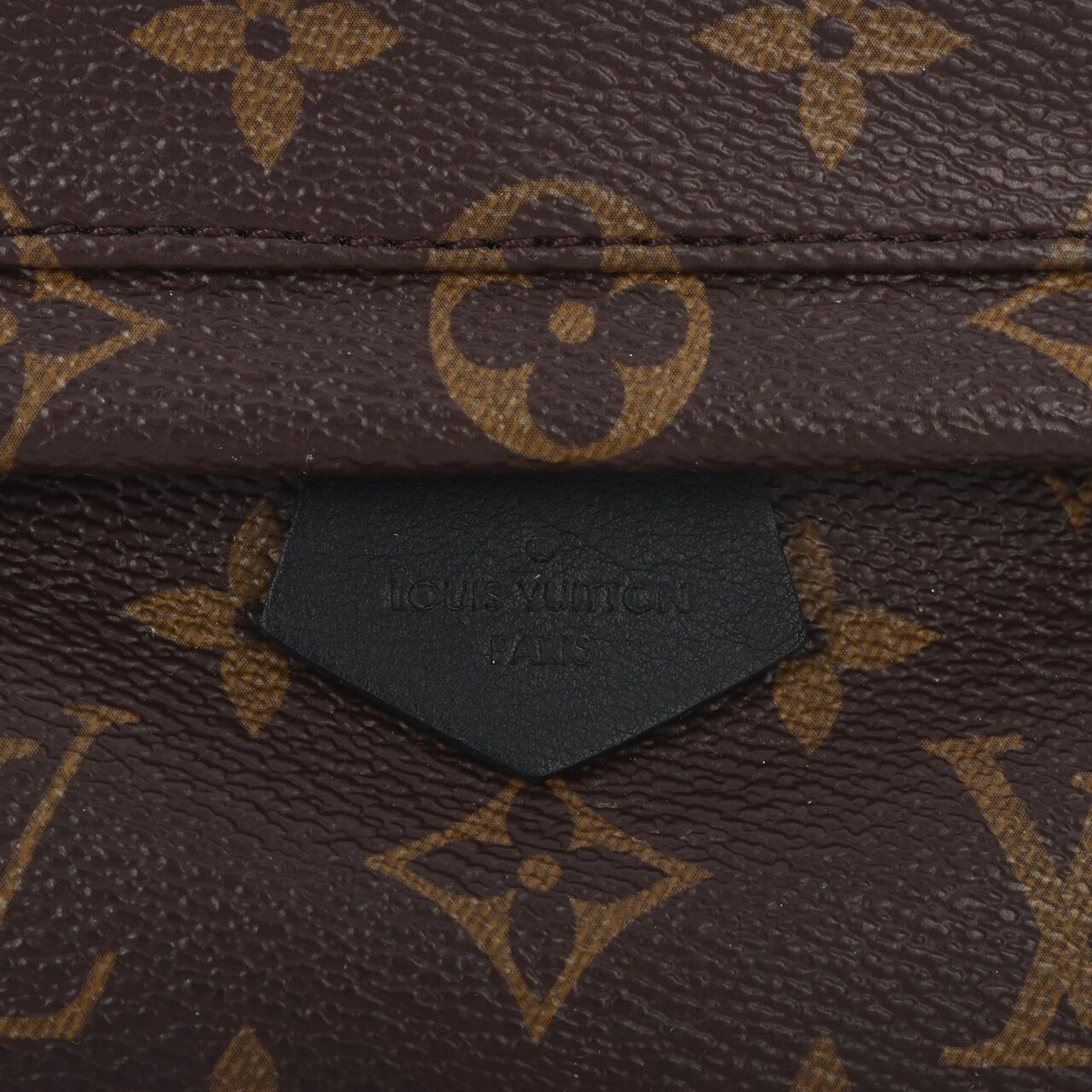 Louis Vuitton Palm Springs Monogram Mini Backpack GHW Brown