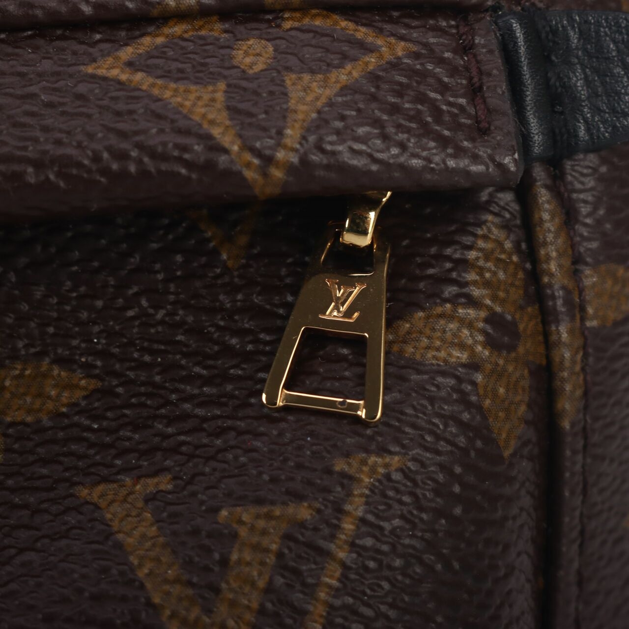 Louis Vuitton Palm Springs Monogram Mini Backpack GHW Brown