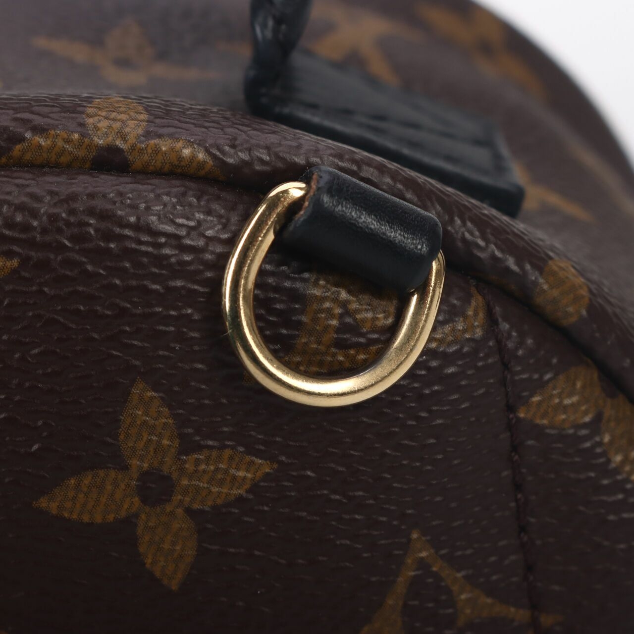 Louis Vuitton Palm Springs Monogram Mini Backpack GHW Brown