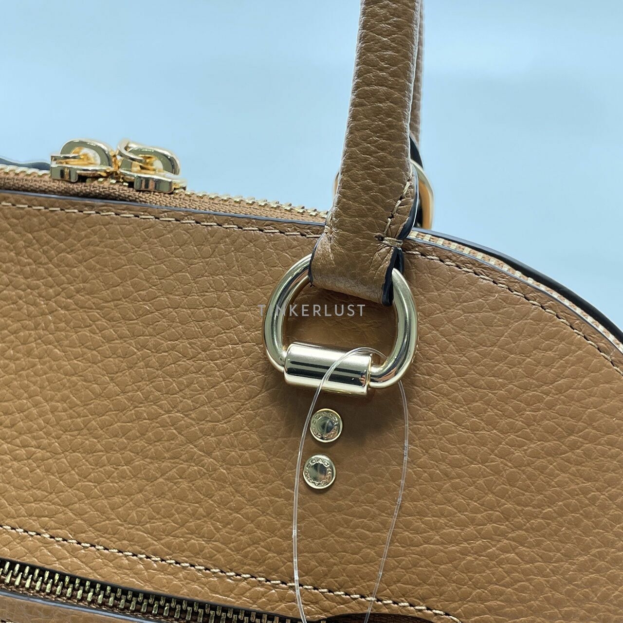 Coach C8281 Katy Satchel with Dairy Emboidery Penny Multi