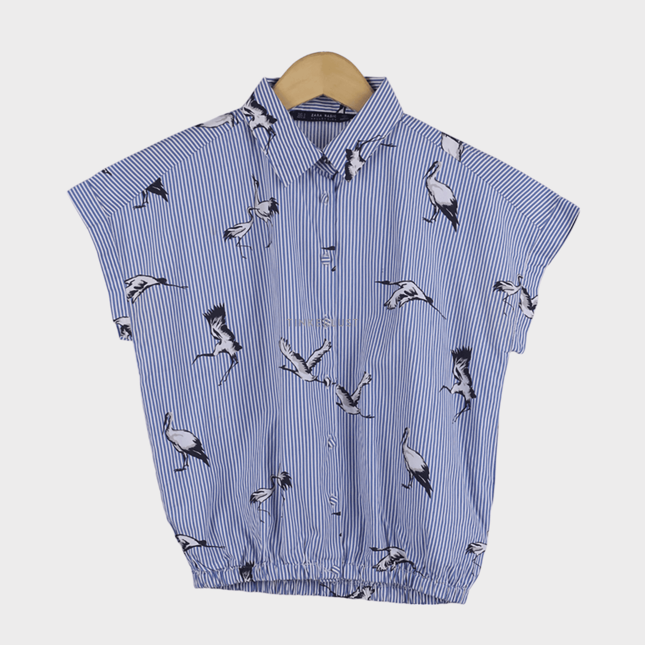 Zara Blue Stripes Shirt