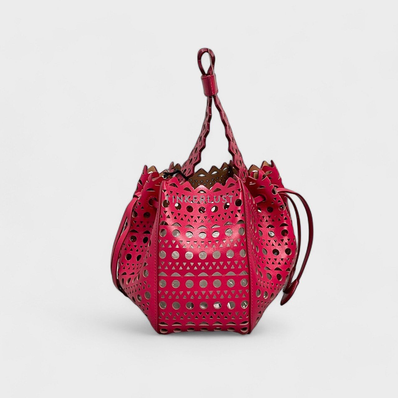 Alaia Rose Marie Framboise Bijoux Handbag