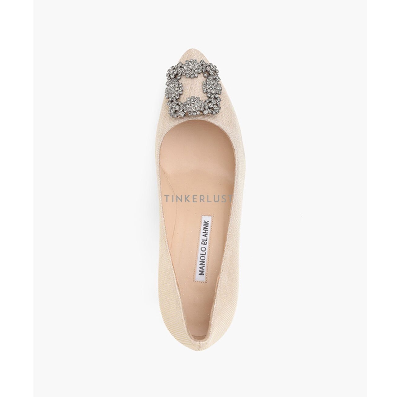 Manolo Blahnik Hangisi 7cm Pumps in Beige Glittered with Dark Crystal