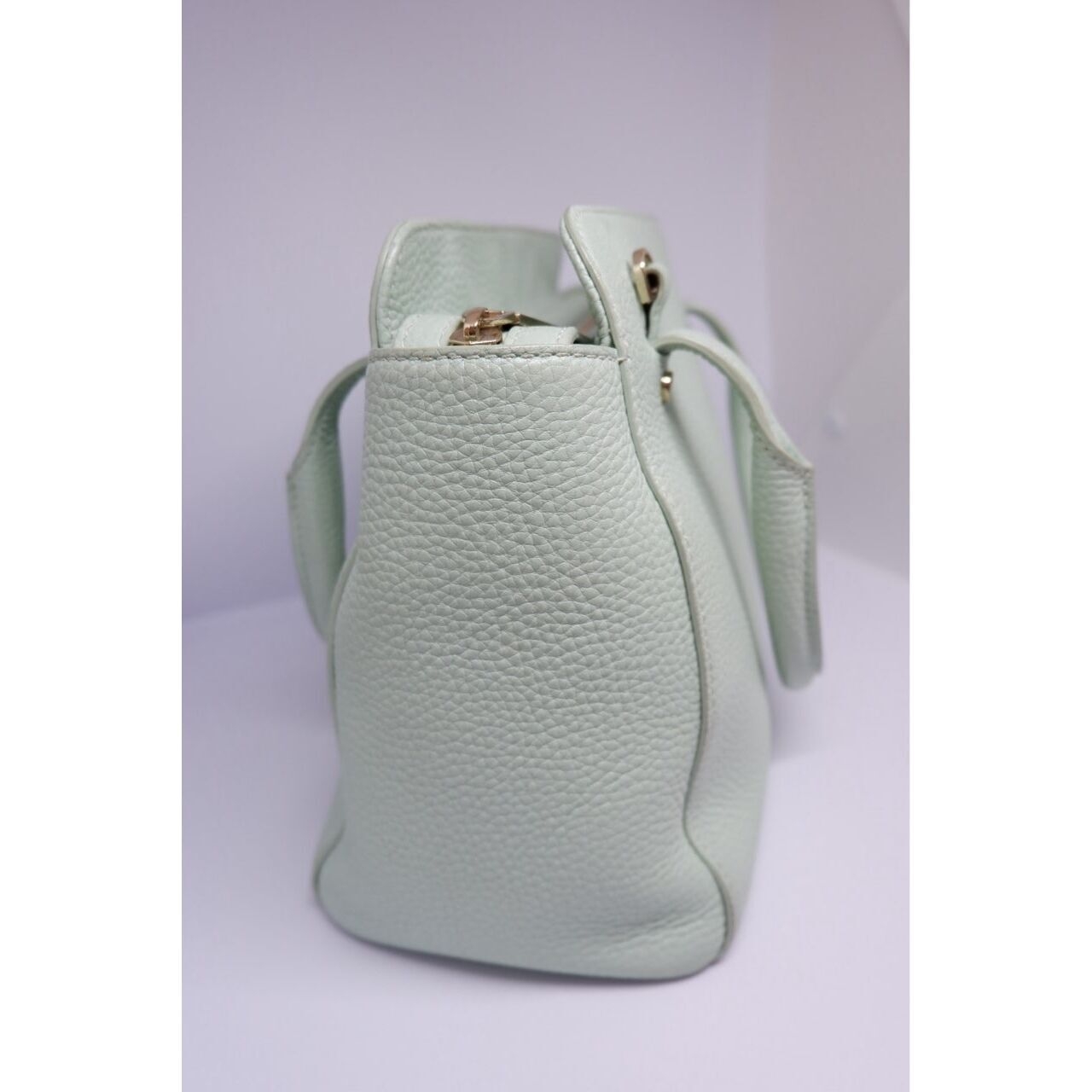 Aigner Mint Satchel