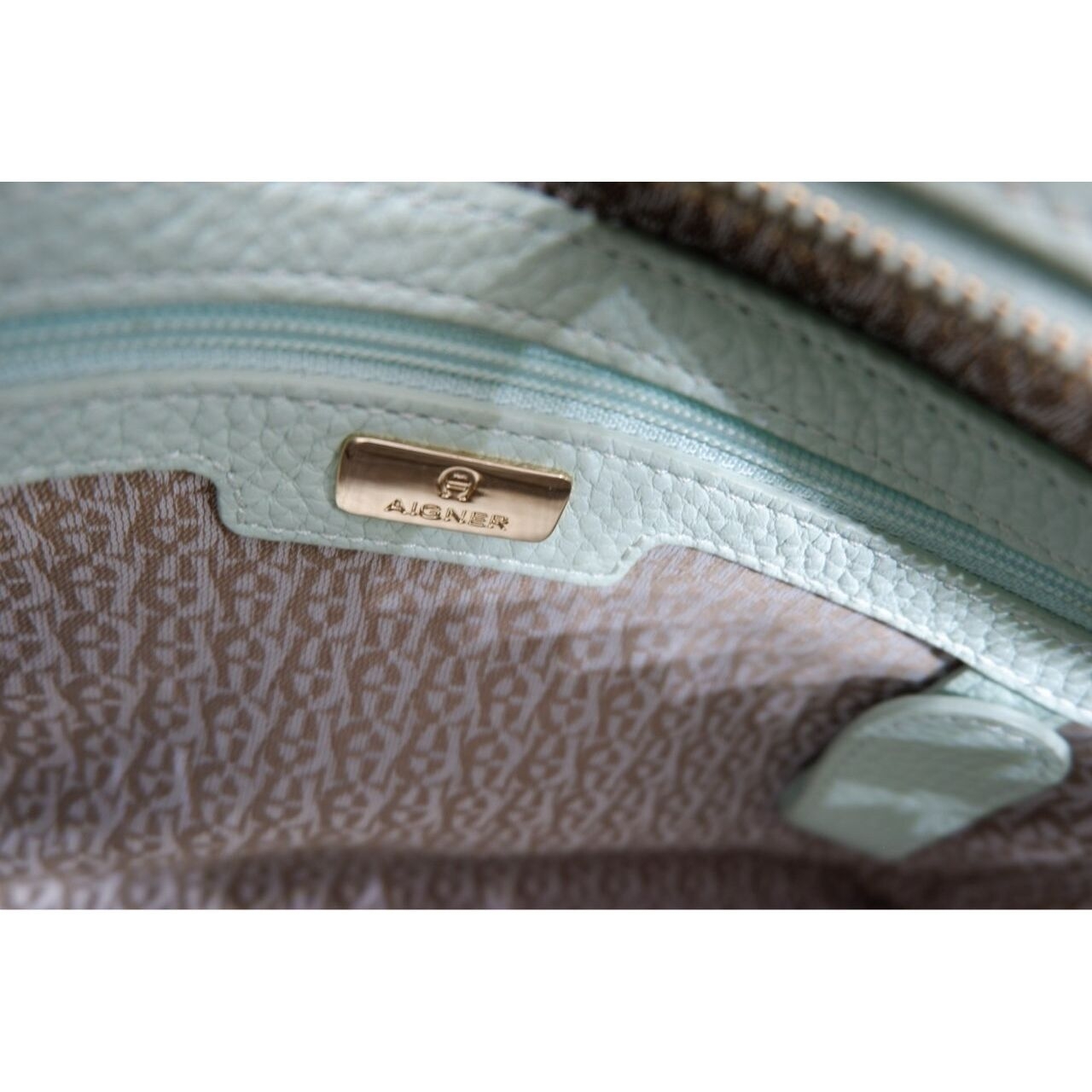 Aigner Mint Satchel