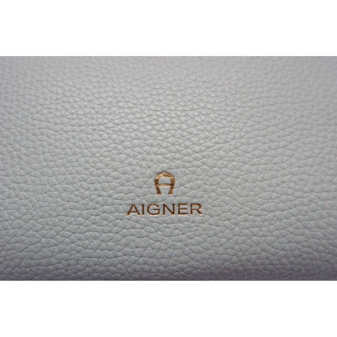 Aigner Mint Satchel