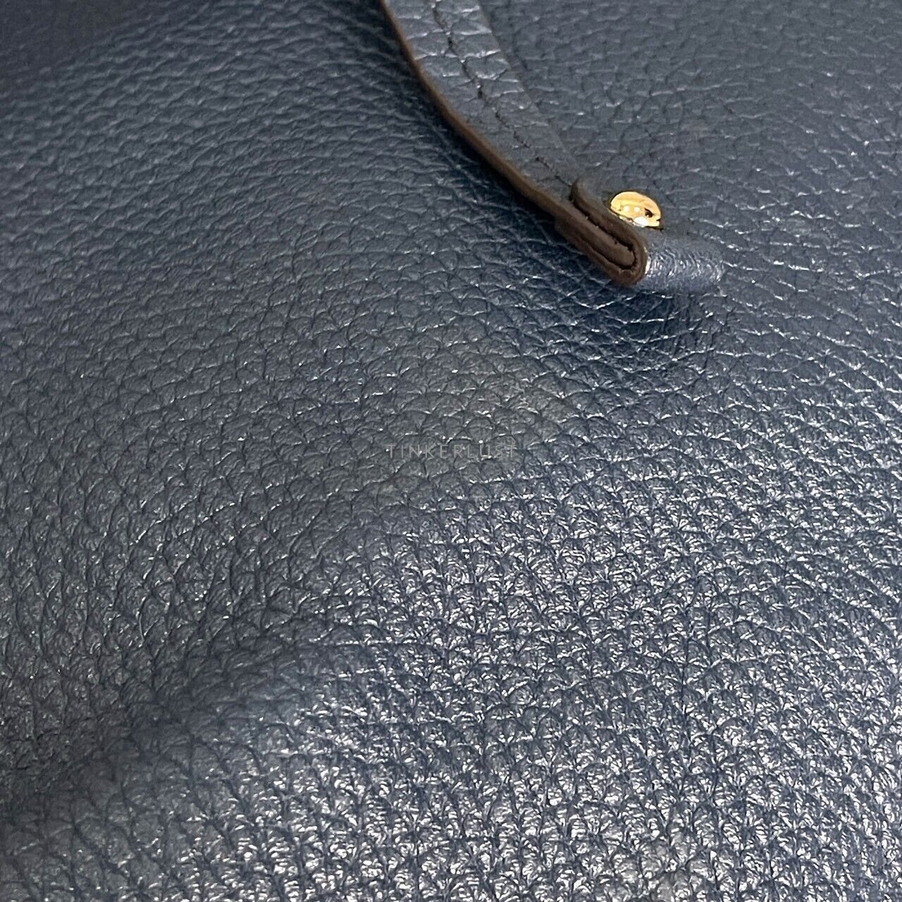 Michael Kors Riley Blue Pebbled GHW Backpack