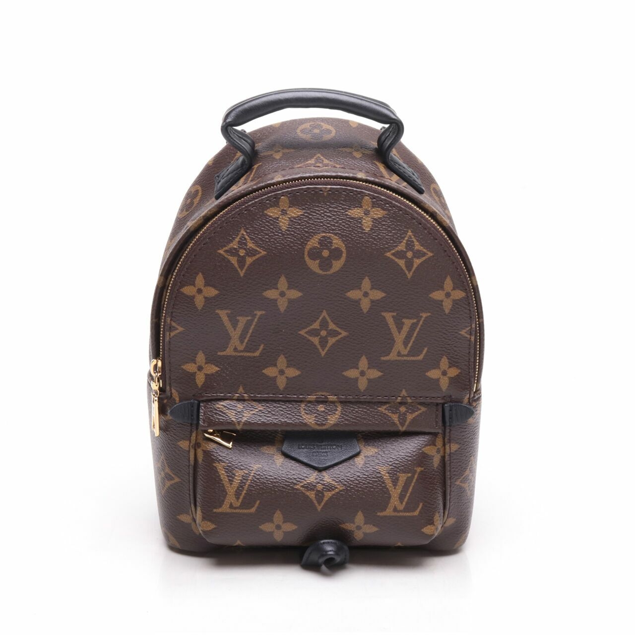 Louis Vuitton Monogram Mini Palmspring Backpack