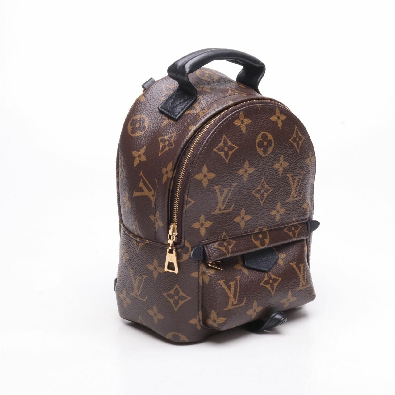 Louis Vuitton Monogram Mini Palmspring Backpack