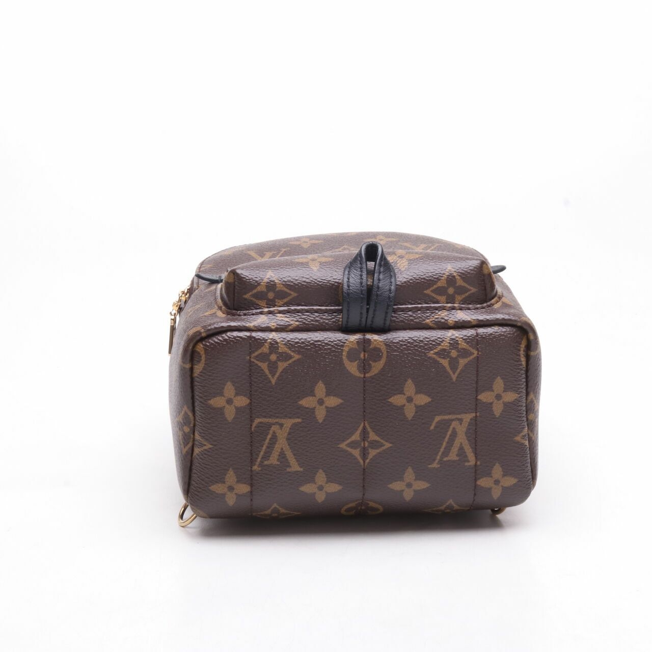 Louis Vuitton Monogram Mini Palmspring Backpack